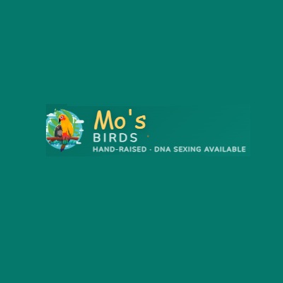 Website Logo